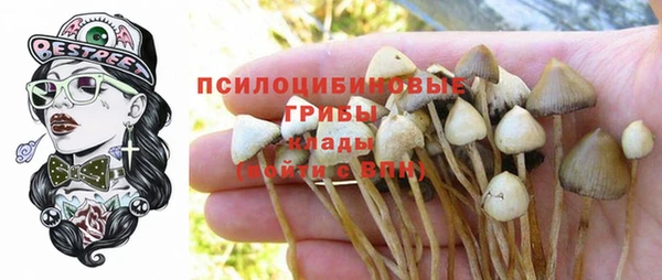 мяу мяу мука Бородино