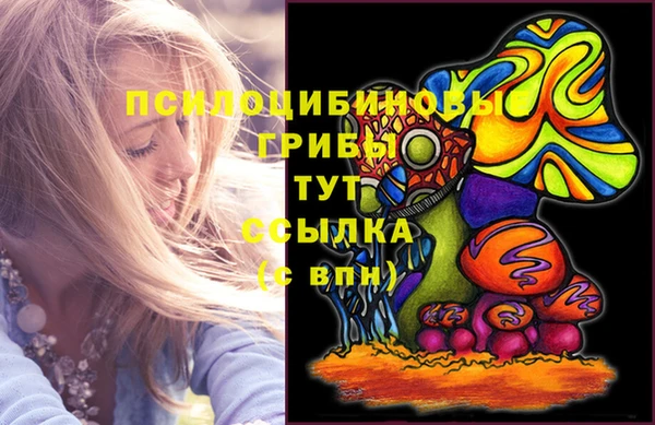 прущий лед Богородск